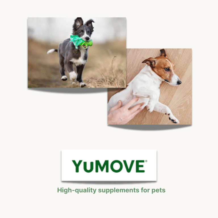 Yumove articles